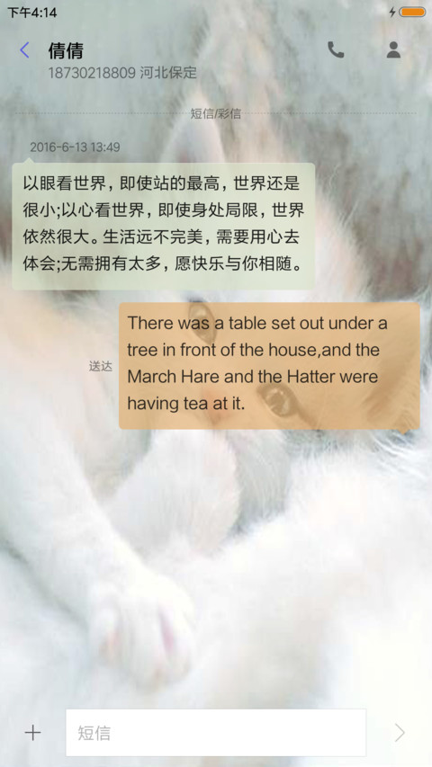 可爱小猫 screenshot