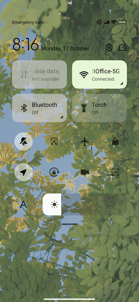 Fresh green leaves screenshot
