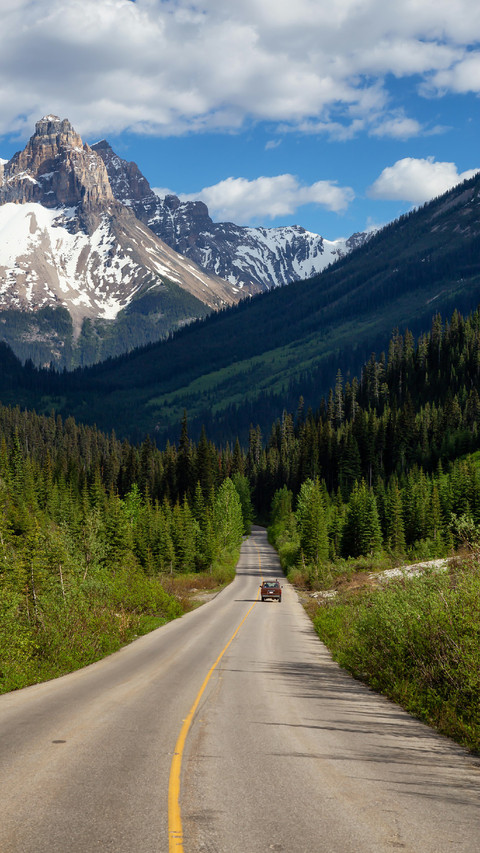 The Car is Driving on Road With Forests on Both Sides screenshot