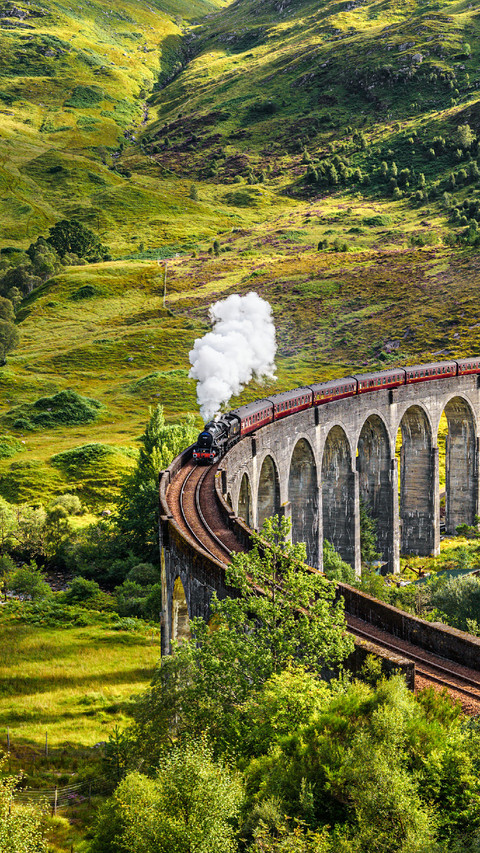 The Train Passed The Viaduct on The Grassland screenshot