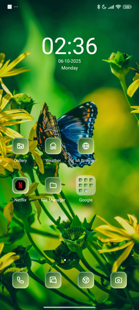 Butterfly screenshot