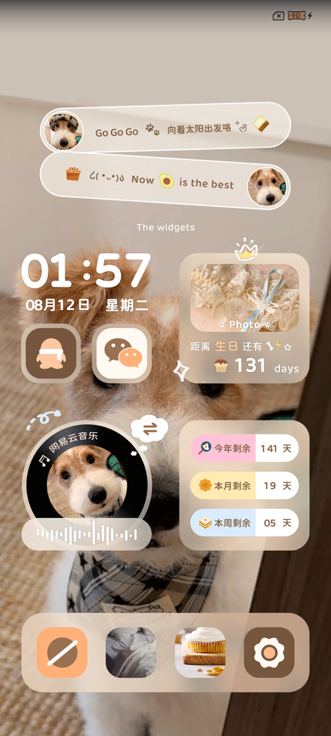 ins小狗开门系我 screenshot