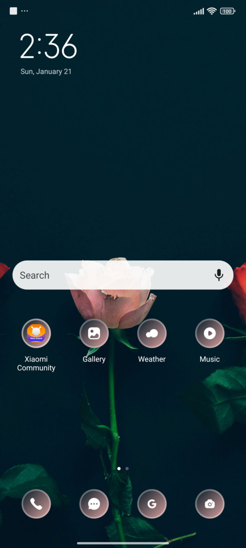 Pink Red Roses screenshot