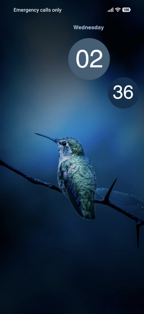 Blue Bird screenshot