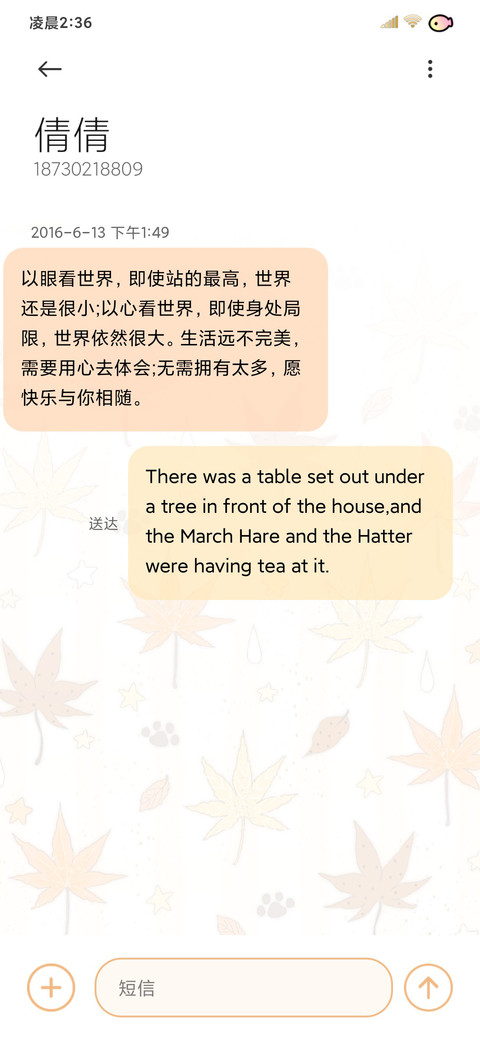 简约朦胧枫叶星星海 screenshot