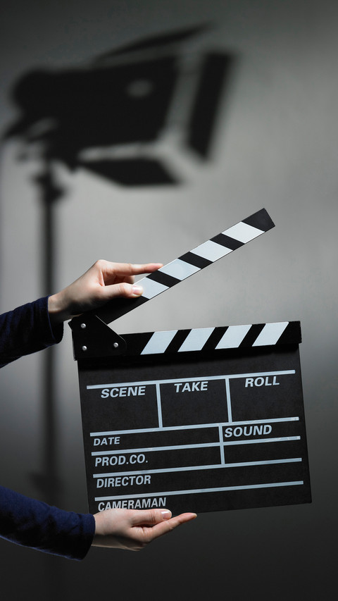 Director screenshot
