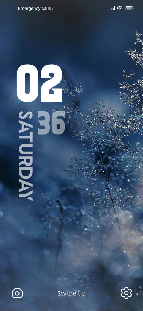 Snow Forest screenshot