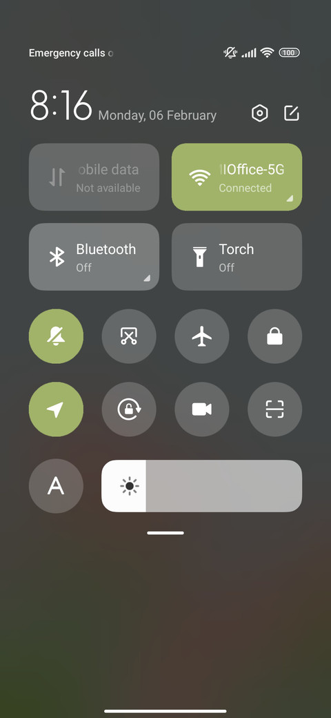 Tulip Letter screenshot