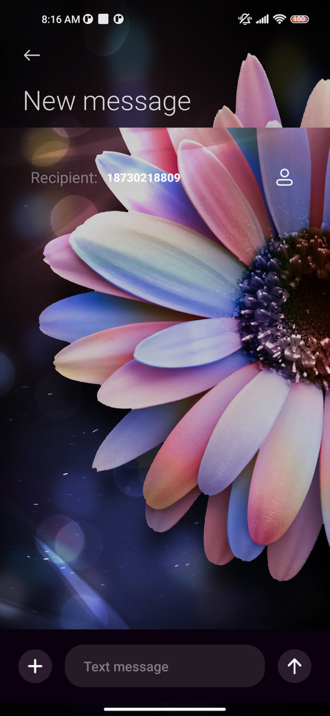 Pink purple flower screenshot