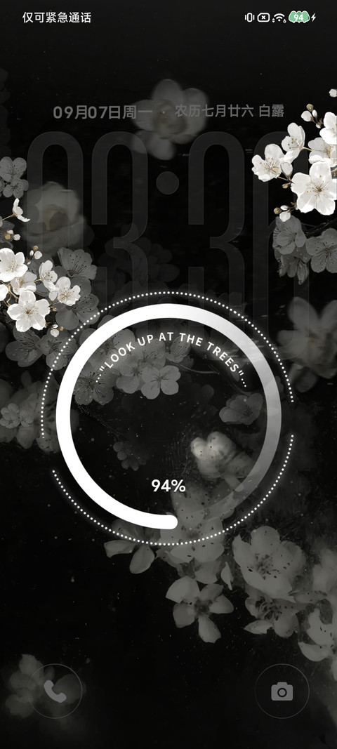 景深重感 夜涧白花 screenshot