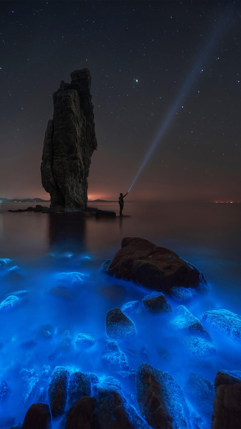 会发光的海滩 screenshot