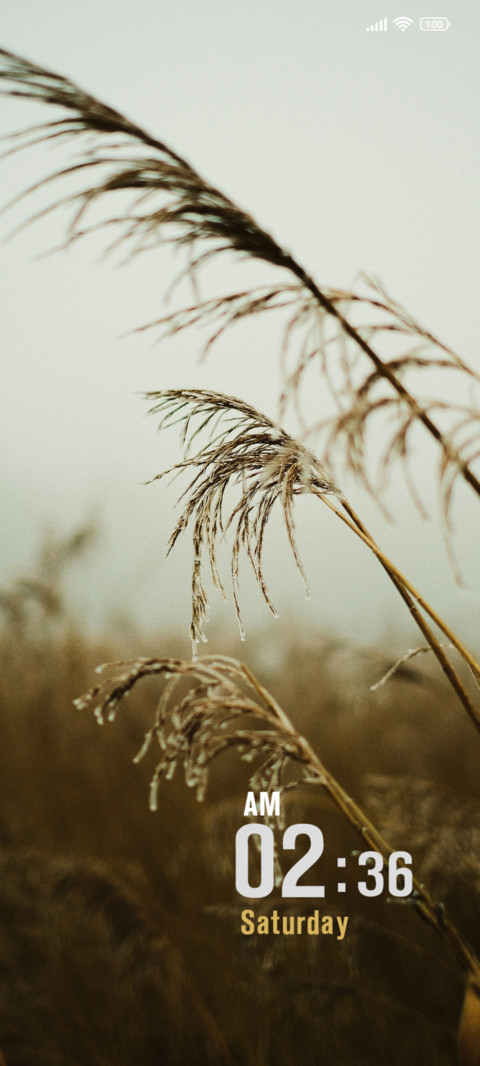 Grass & Fog screenshot