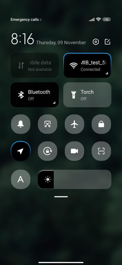 lily screenshot