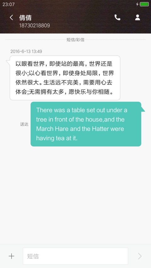 落叶 screenshot