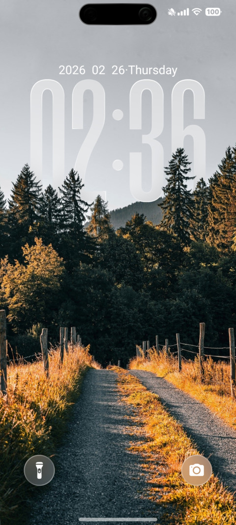 OX LS screenshot