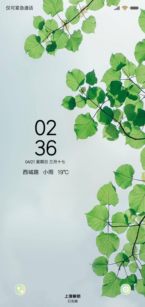 叶净 screenshot