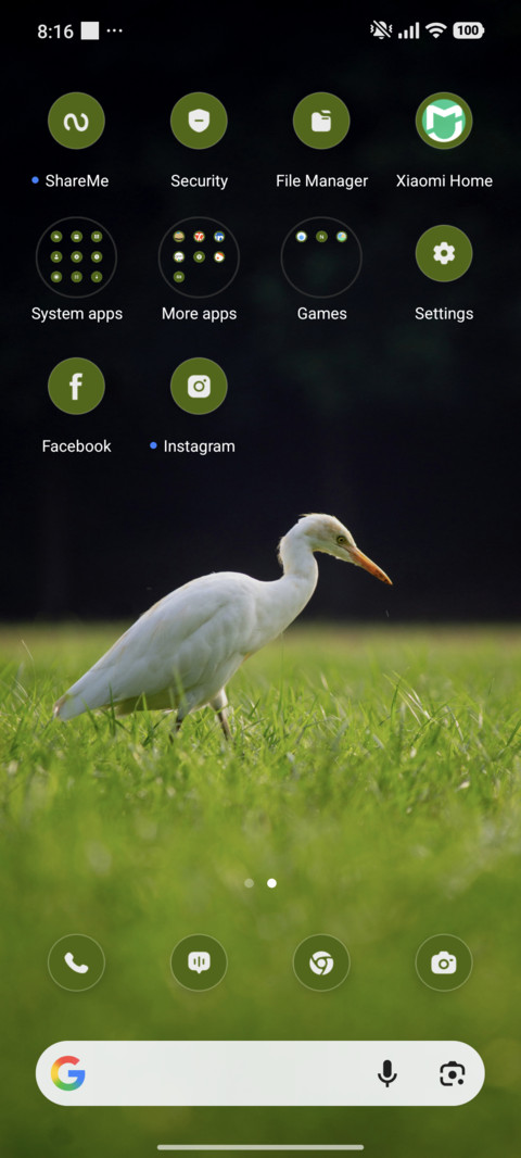 White Bird screenshot
