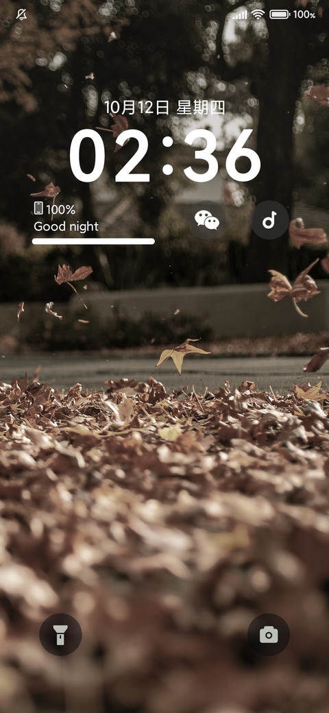 叶落才知秋 screenshot