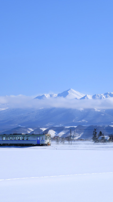 JR Hokkaido local train in The Daisetuzan National Park screenshot