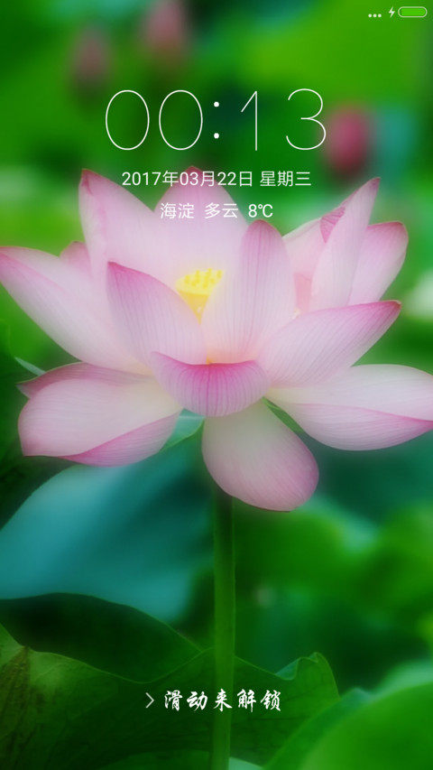 护眼荷花 screenshot