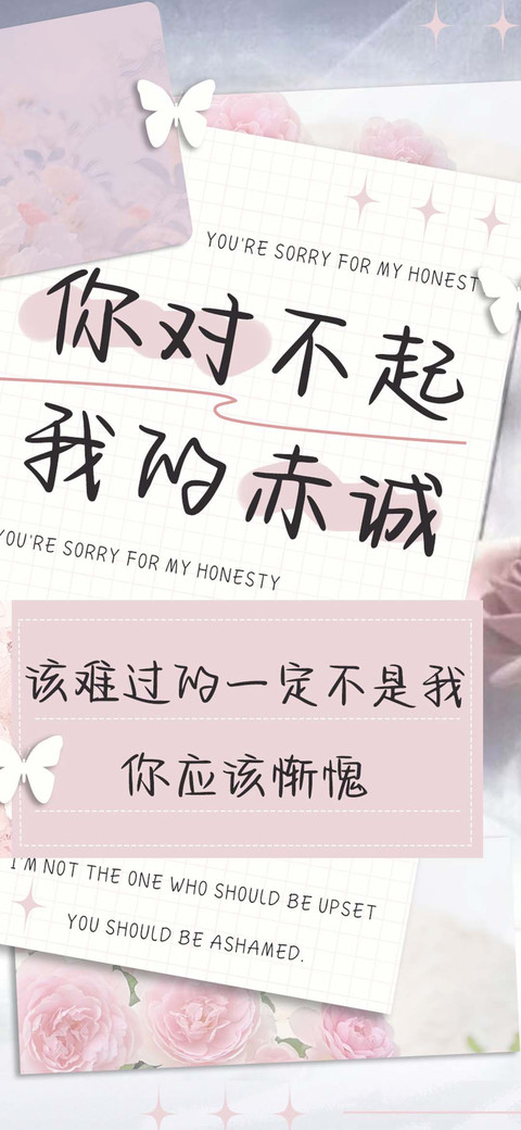 你对不起我的赤诚 screenshot