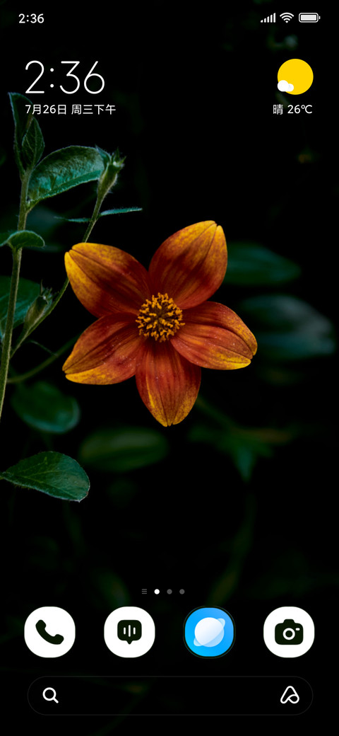 Amber Bloom screenshot