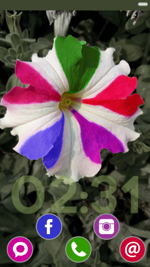  IN Holi Flower screenshot