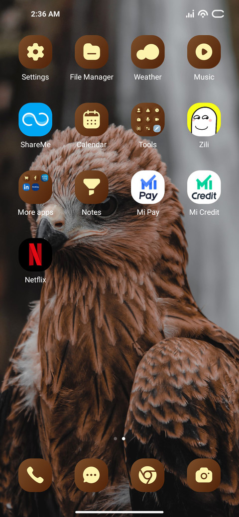 Falcon screenshot