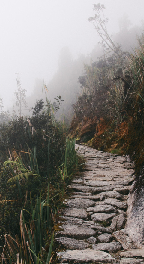 Hill Top (17) screenshot