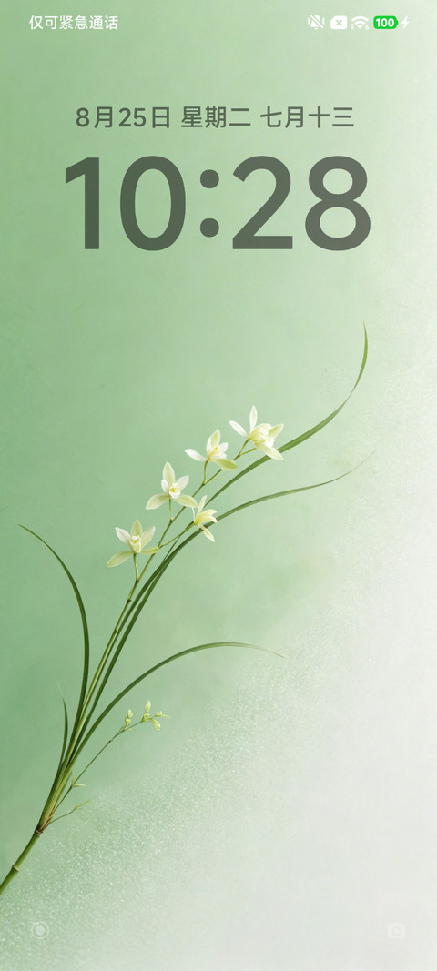 简约雅致 screenshot