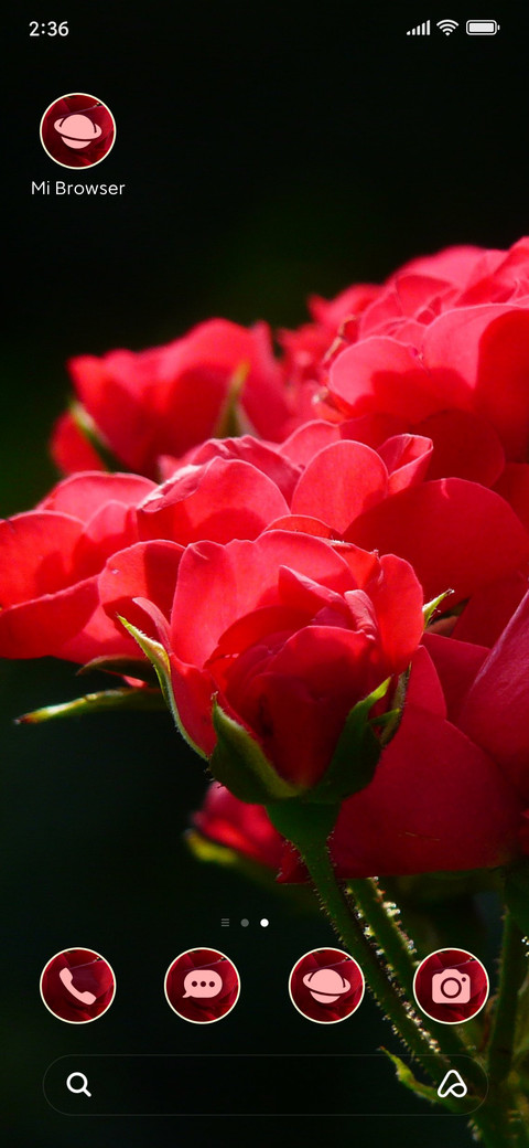 flowers buds screenshot