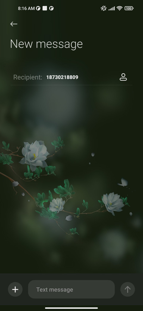 Beautiful flowers screenshot