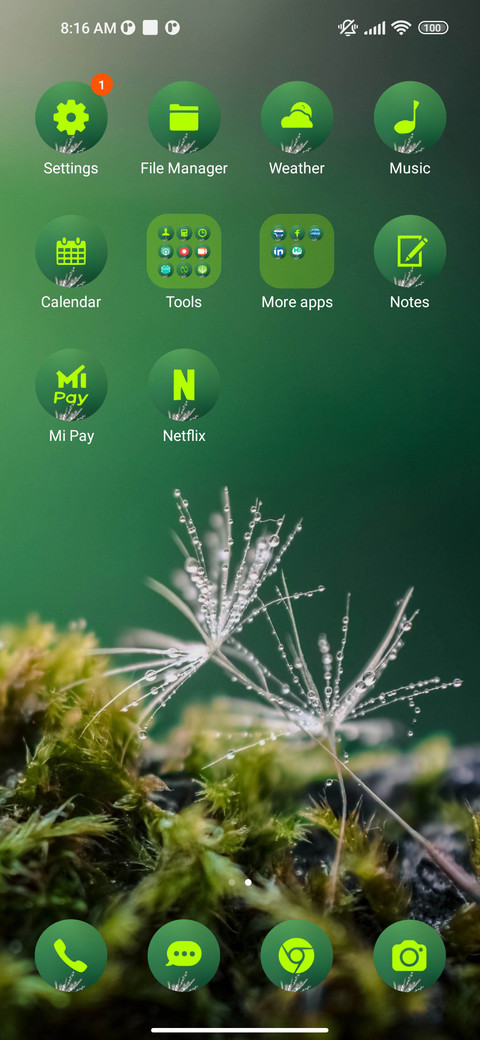 nature dandelion screenshot
