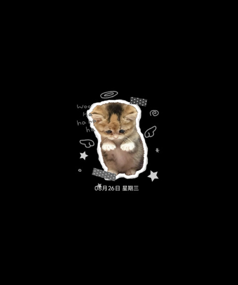 小猫困困的 screenshot