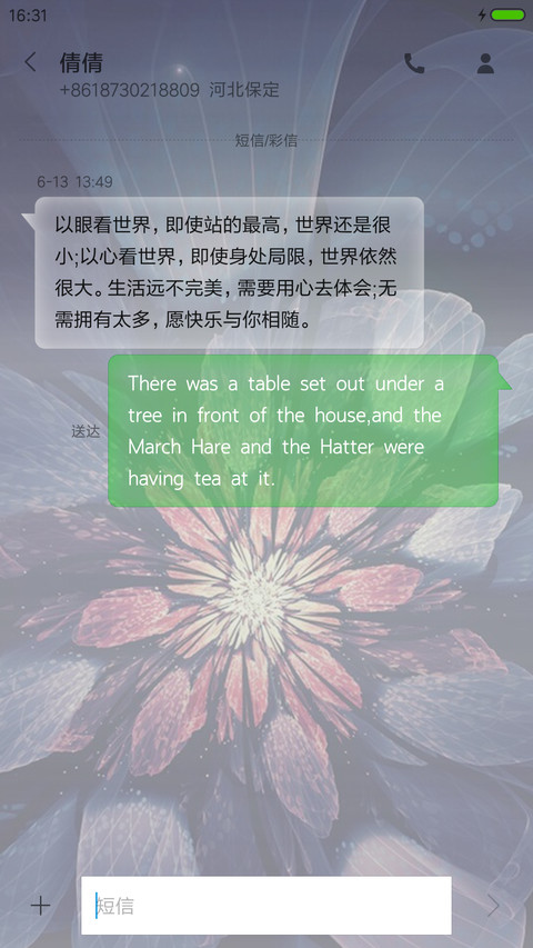 发光的花 screenshot