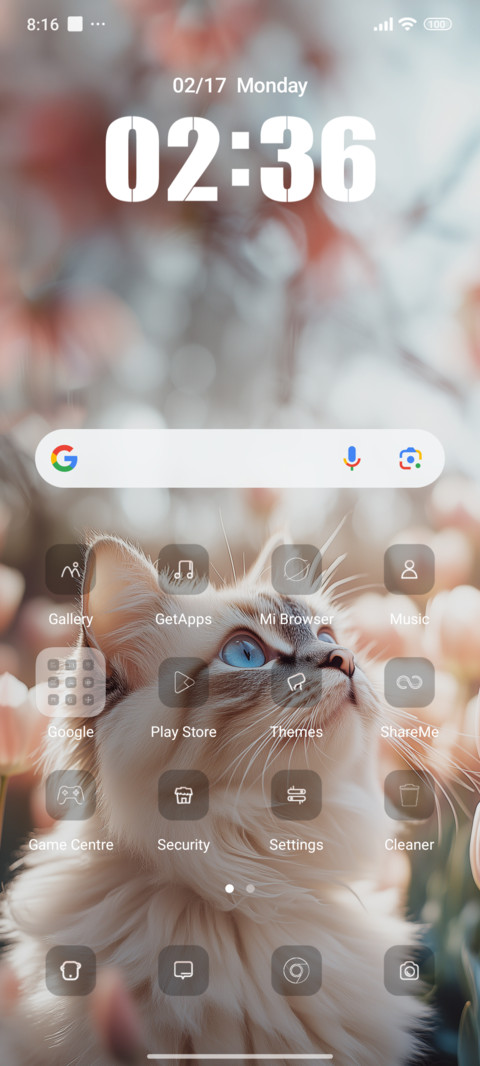 Ragdoll Cat screenshot
