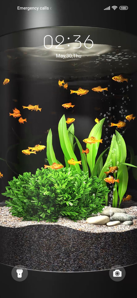 Goldfish screenshot