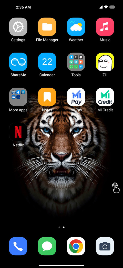 TIGER Y screenshot