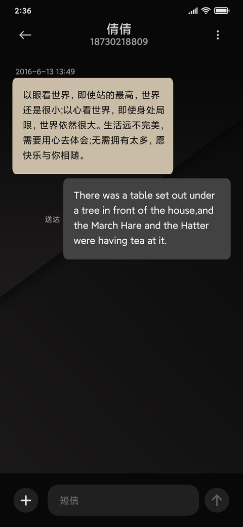 商务 黑白调 screenshot