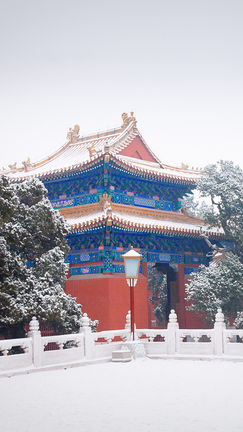 Winter Snowfield screenshot