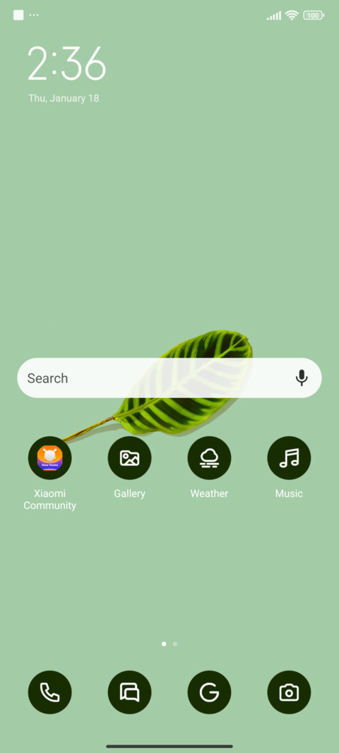Minimal Leaf screenshot