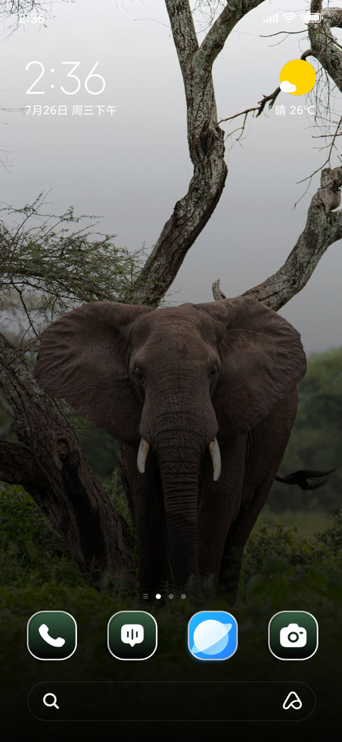 Field Elephant screenshot