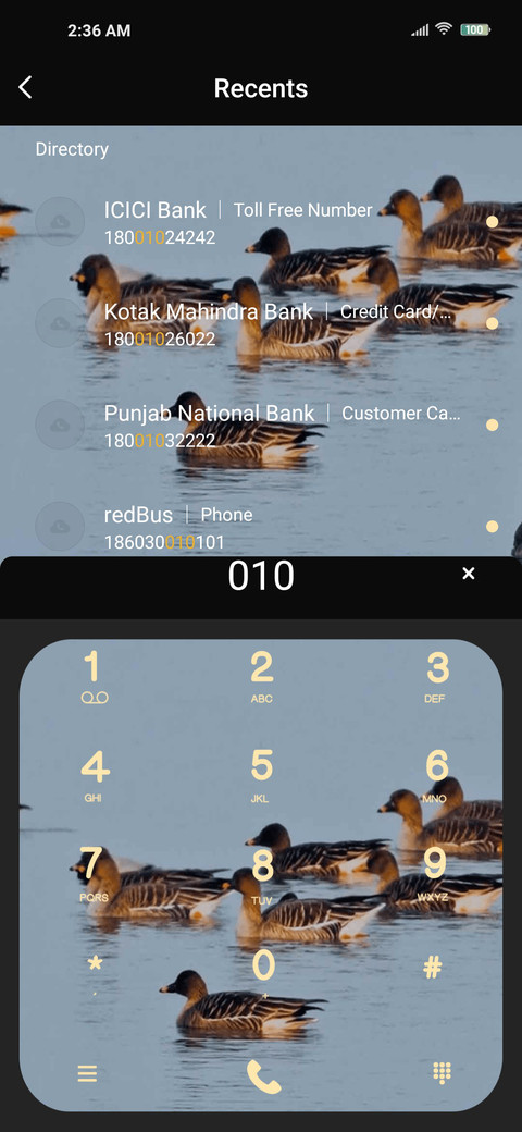 bird watching screenshot