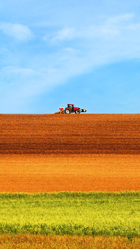 French tractors drive through fields with bright colors screenshot