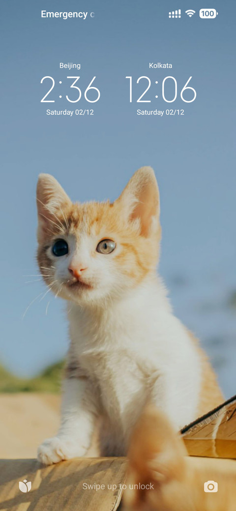 Lalilu Cat screenshot
