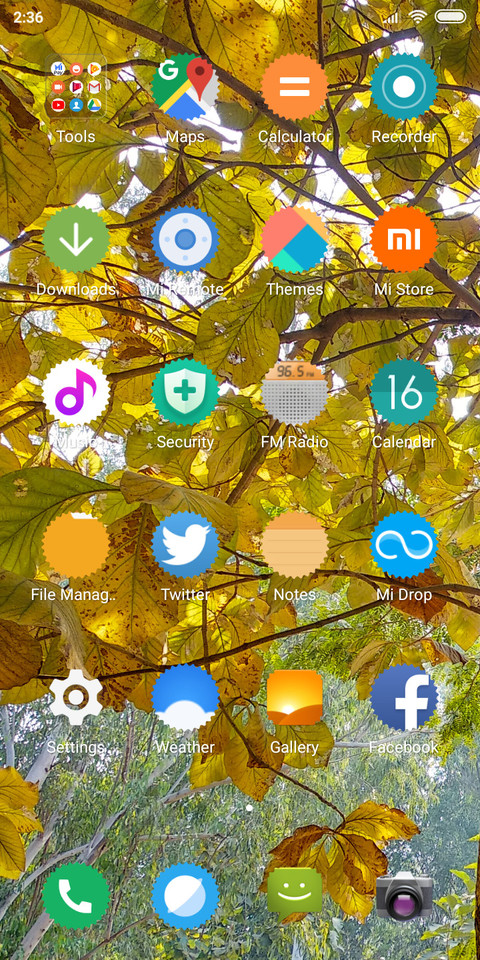 Dry Leaves_DWM2 screenshot