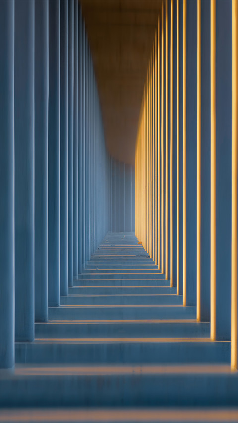 The lines of the building structure screenshot