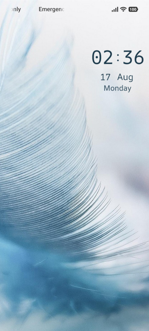 Blue Feather screenshot