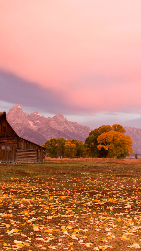 The autumn scenery of grand teton park screenshot