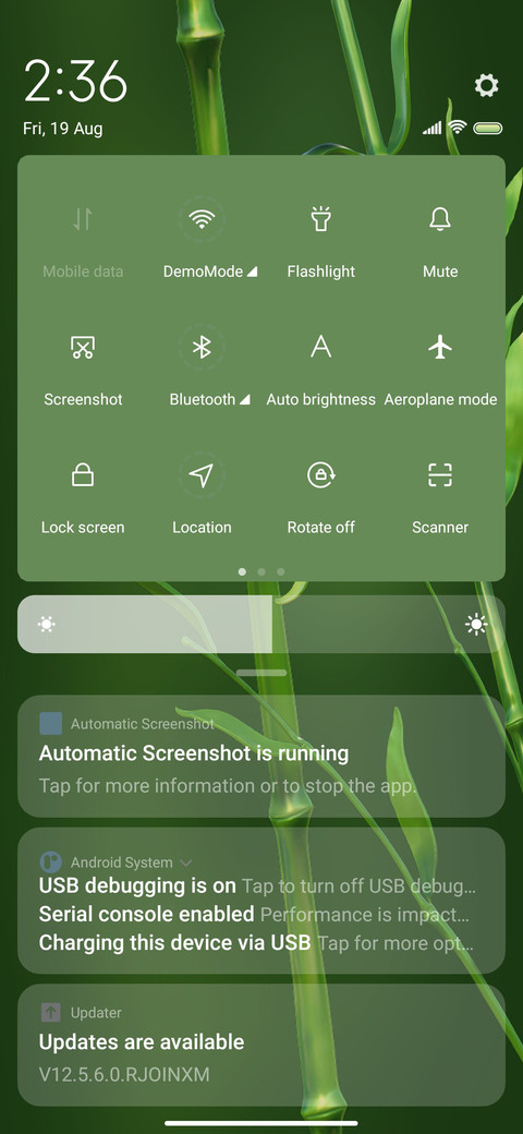 Green bamboo screenshot